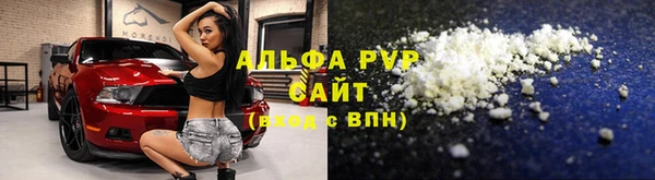 сатива Богданович