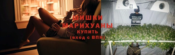 mix Богородск