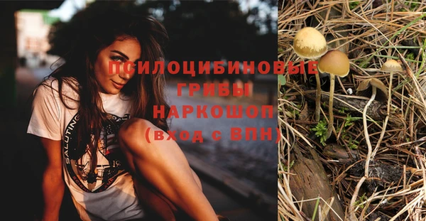 а пвп мука Богородицк