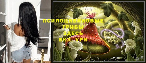 mix Богородск