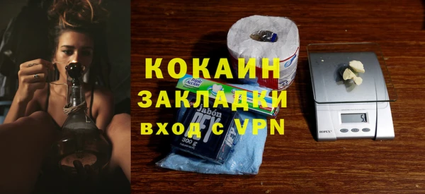 сатива Богданович