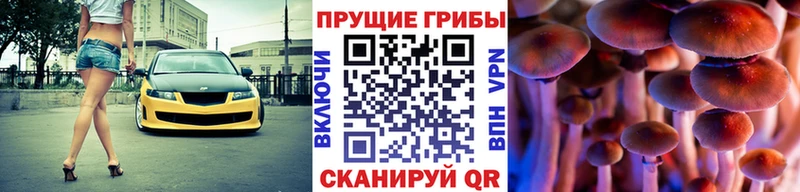 сколько стоит  Далматово  Псилоцибиновые грибы Magic Shrooms 
