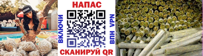 Каннабис марихуана Далматово